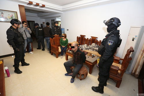 南寧破獲萬噸大米走私案 市場調研揭示走私活動的影響與危害