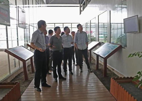 光明食品集團深入調研星輝蔬菜產業發展，助力市場戰略優化