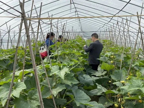 科技賦能，一碼溯源 食用農產品的電子身份證時代